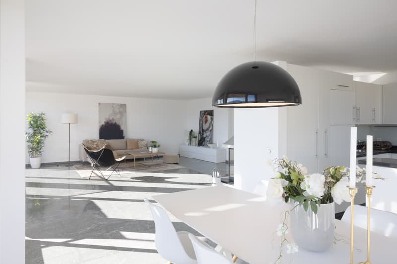 4.5-room attic apartment with breathtaking lake and mountain views. (2)