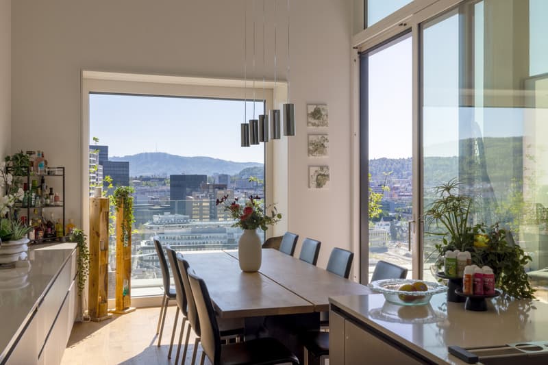 Impressive 5½-room attic maisonette apartment in Zurich. (2)