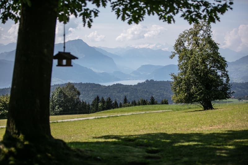 Oasis in the Green with Panoramic View (4)