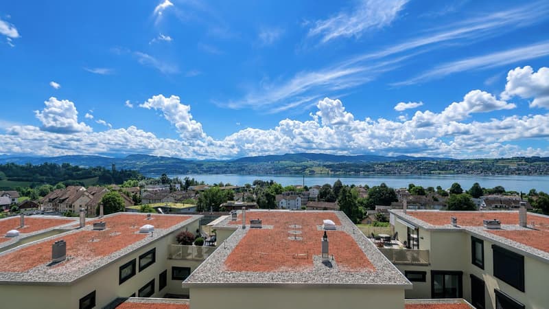4.5-room attic apartment with breathtaking lake and mountain views. (4)