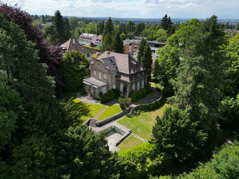 Historische Basler Stadtvilla mit viel Privatsphäre (7)