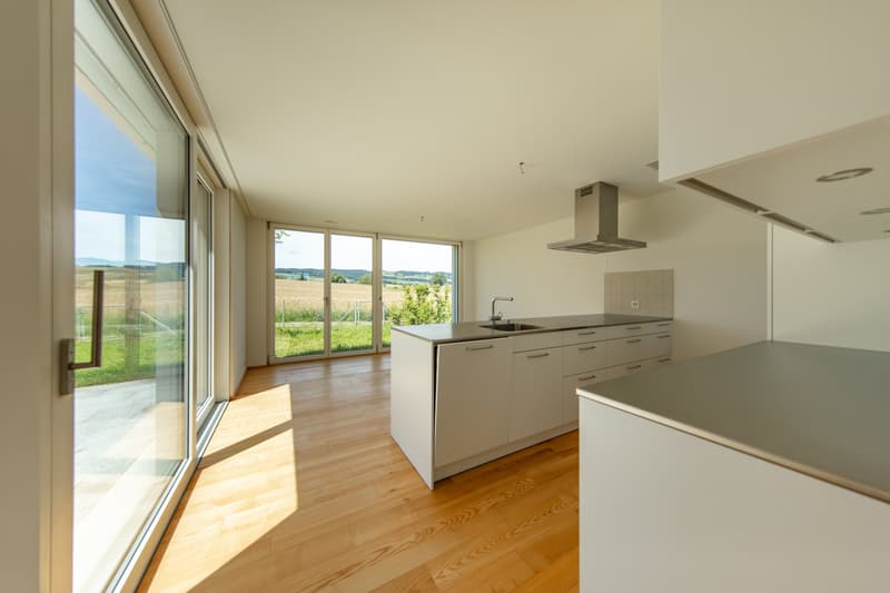 Naturnah wohnen, modern leben 7.5-Zimmer Einfamilienhaus in Sins (2)