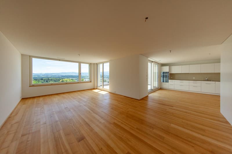 Naturnah wohnen, modern leben 4.5-Zimmer Einfamilienhaus in Sins (1)