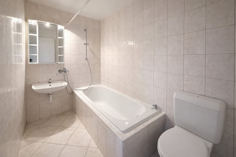 Magnificent apartment with panoramic view in La Chaux-de-Fonds - First month's rent offered!! (2)