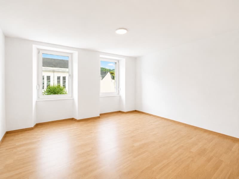 Magnifique 4.5 pièces, très spacieux et lumineux avec cuisine et salle de bain moderne ! (8)