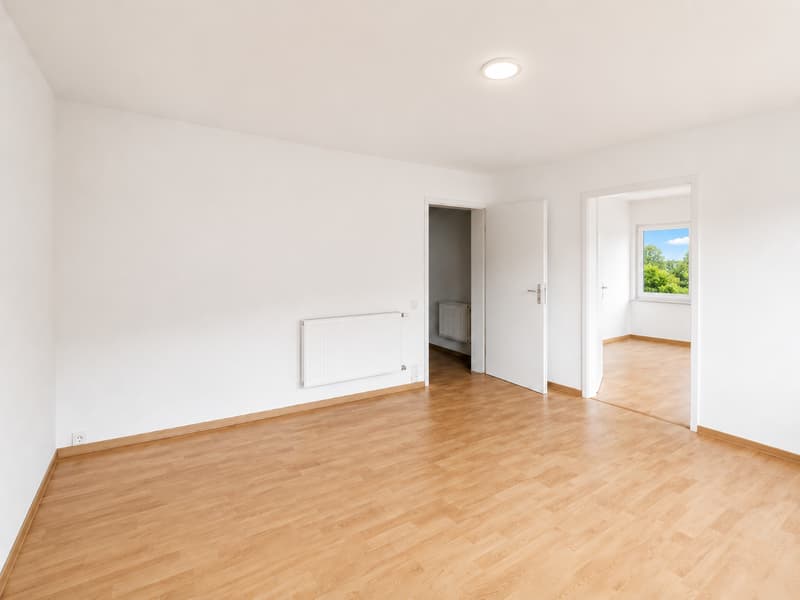 Magnifique 4.5 pièces, très spacieux et lumineux avec cuisine et salle de bain moderne ! (9)