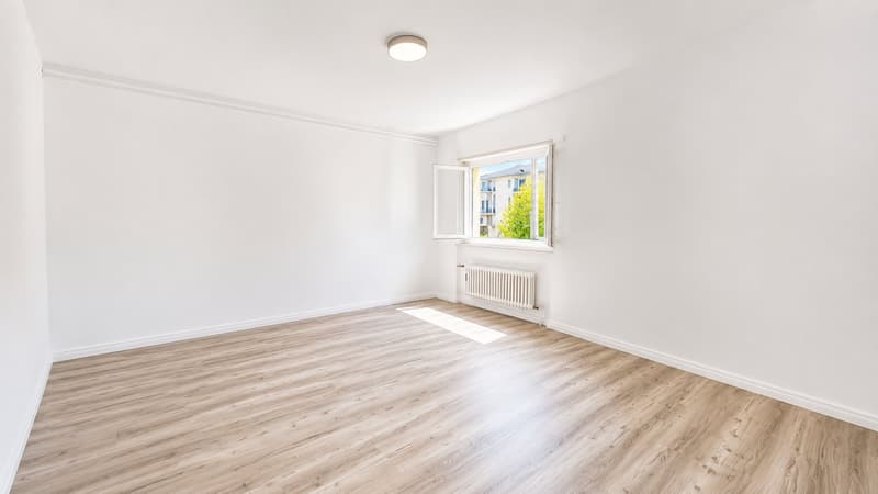 Beautiful 3.5-room apartment, recently renovated !! (5)