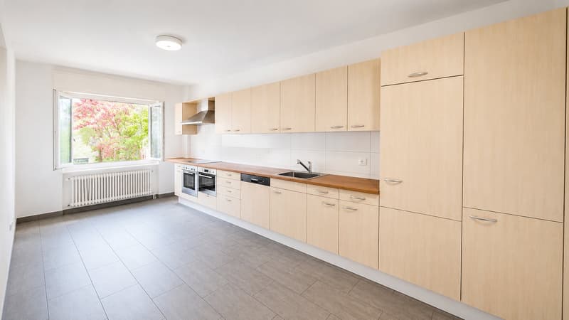 Beautiful 3.5-room apartment, recently renovated !! (2)