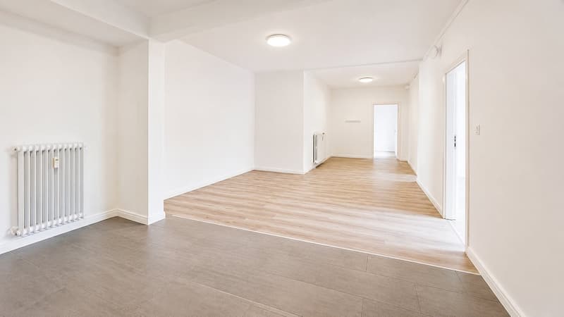 Beautiful 3.5-room apartment, recently renovated !! (3)