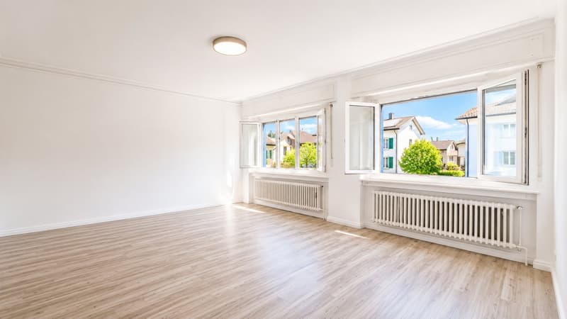 Beautiful 3.5-room apartment, recently renovated !! (4)
