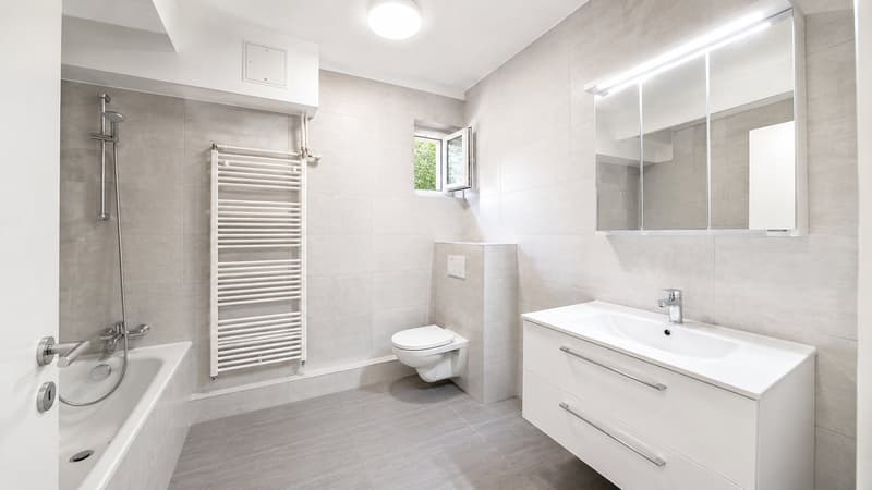 Beautiful 3.5-room apartment, recently renovated !! (6)