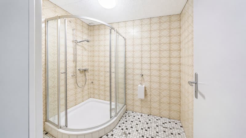 Rare à Reconvilier : 4 pièces de charme disponible immédiatement (9)