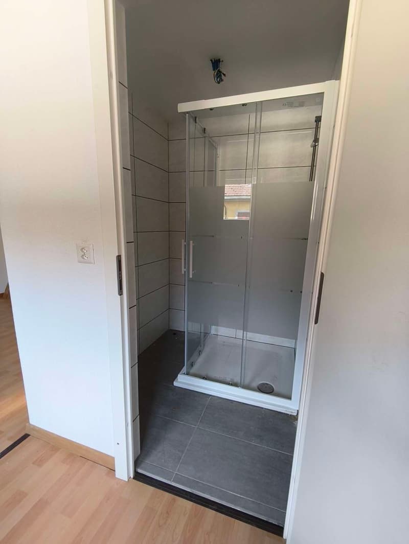 Loft rooms on Bözinenstrasse in Biel – available immediately (7)