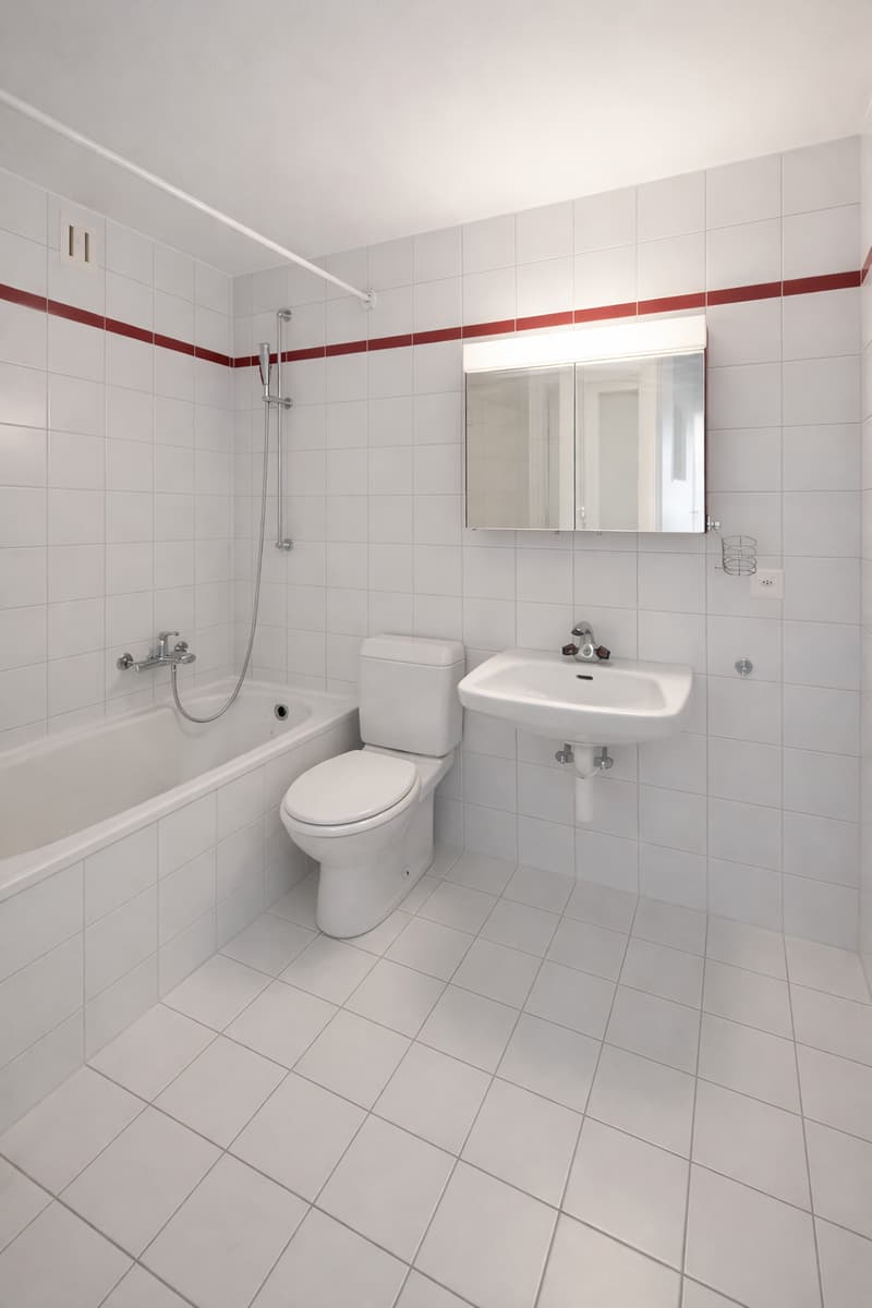 Charming 3.5-room apartment with panoramic view - First month's rent offered! (9)