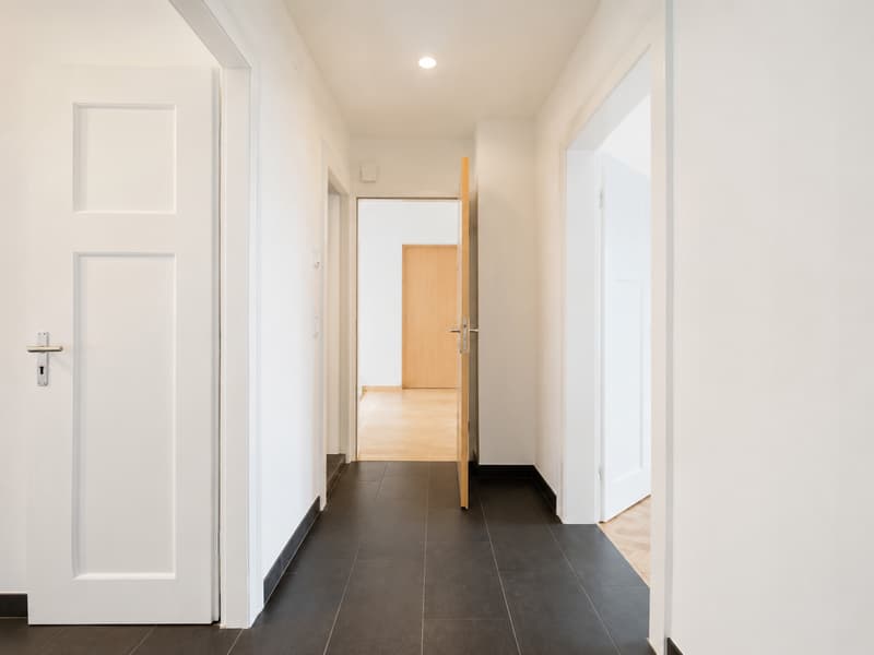 Belle appartement de 3.5 pièces disponible tout de suite! (4)