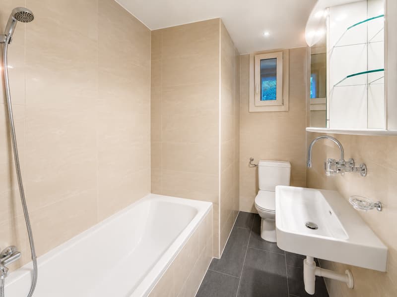 Belle appartement de 3.5 pièces disponible tout de suite! (3)