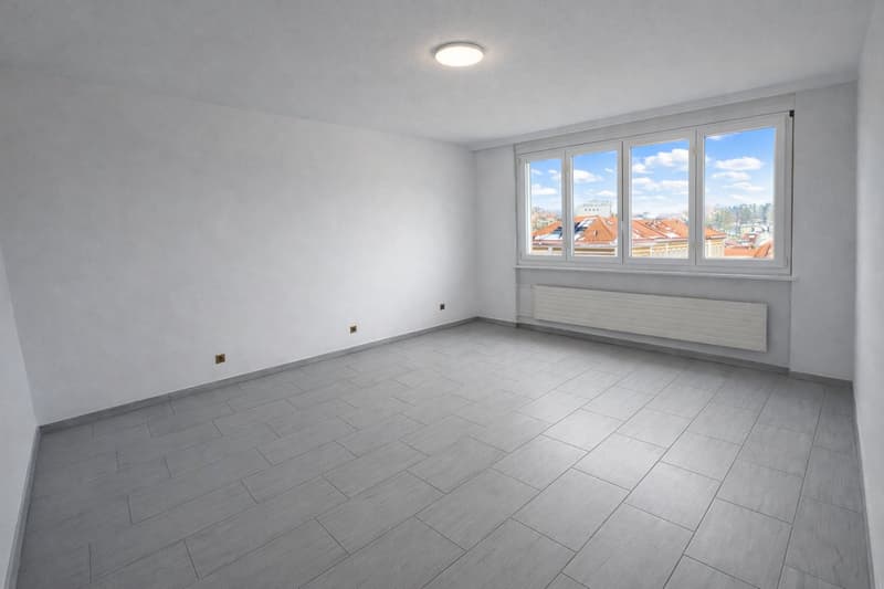 Magnifico appartamento con vista panoramica a La Chaux-de-Fonds! (2)