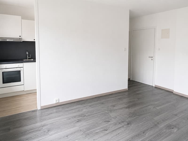 Schönes frisch renoviertes Studio - Schnell zugreifen!! (4)
