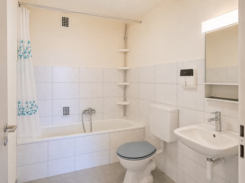 Bright 2.5-room apartment in a quiet location in Büren an der Aare (6)