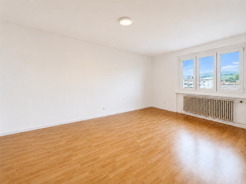 Superbe appartement lumineux et moderne! Premier mois de loyer offert ! (3)
