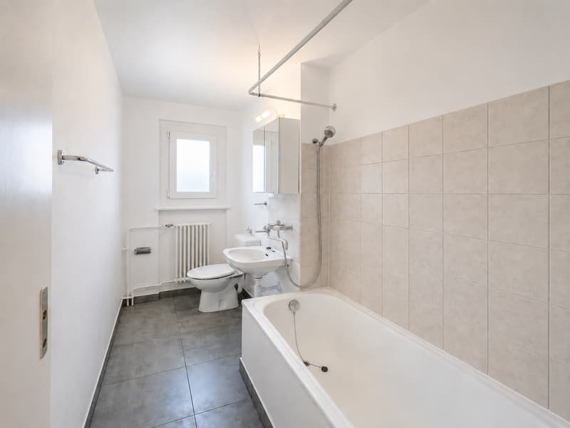 Superbe appartement lumineux et moderne! Premier mois de loyer offert ! REZ DE CHAUSEE! (2)