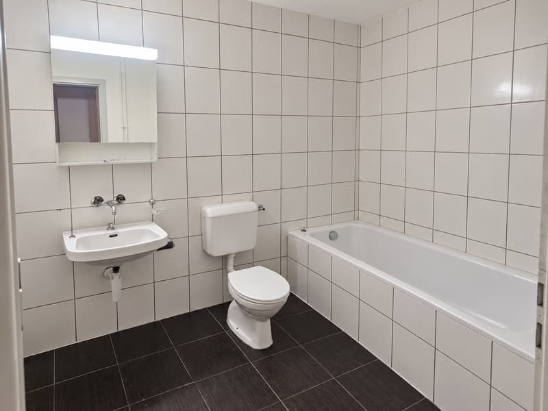 Helle 4.5-Zimmer-Wohnung mit Balkon und schöner Aussicht in Büren an der Aare (7)