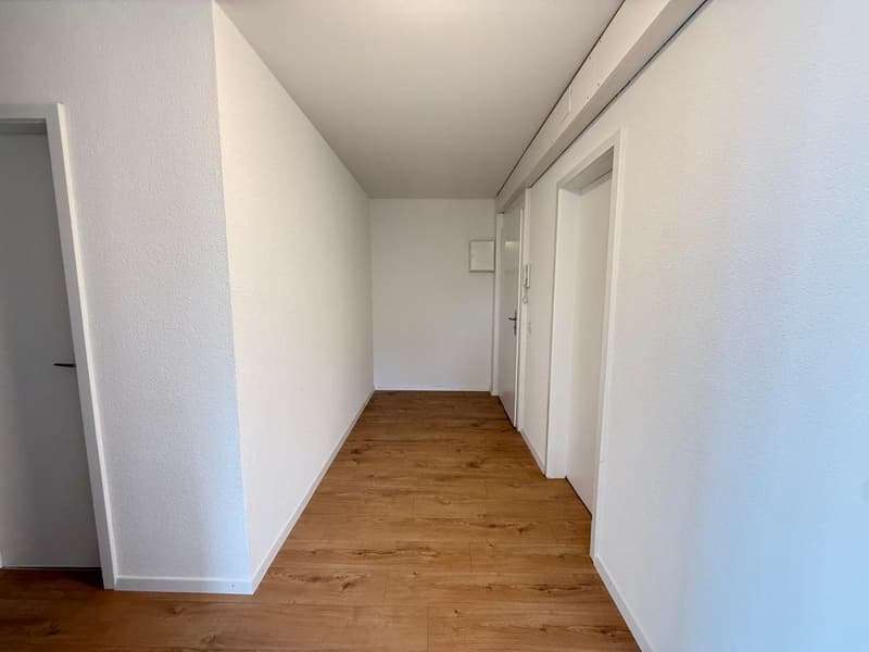 Empty hallway with white walls, wooden floor, and three doors.