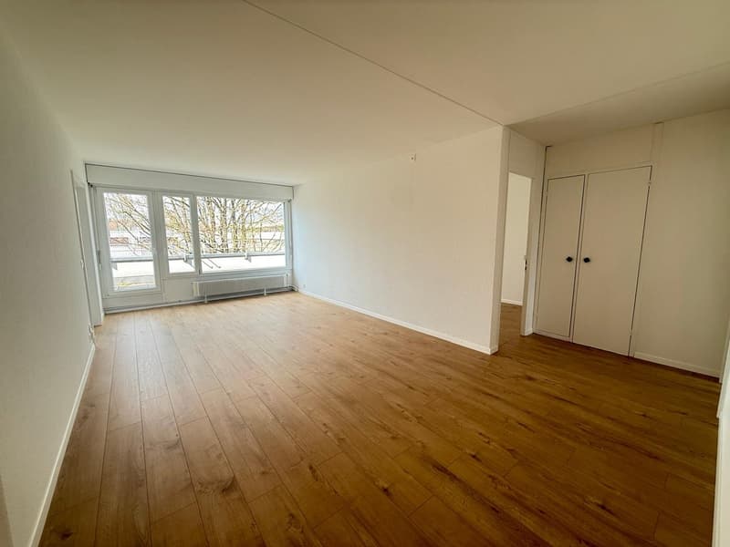 empty room, wooden floor, large window, white walls, white doors