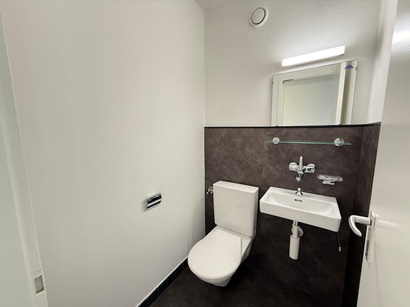 small bathroom with white toilet, white sink, mirror, and a glass shelf