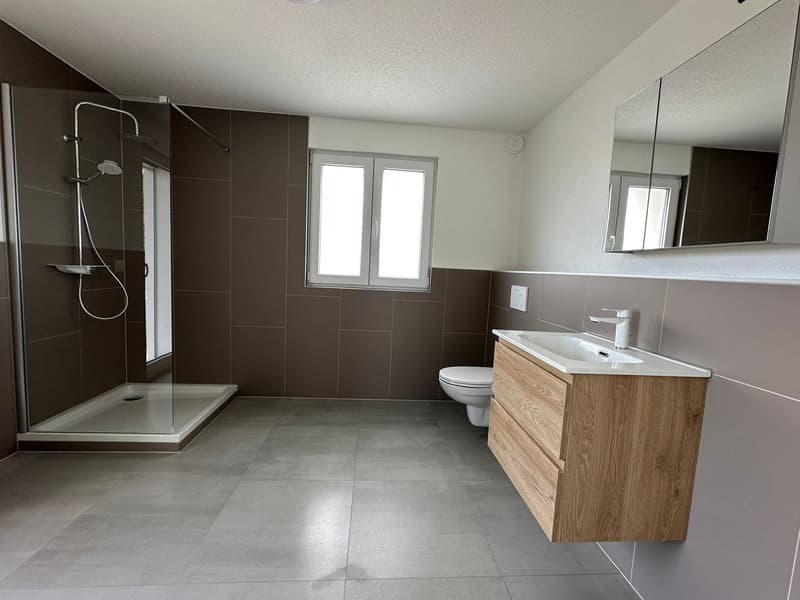 modern bathroom with shower, toilet, sink, wooden cabinet, mirror, tiled floor, brown walls