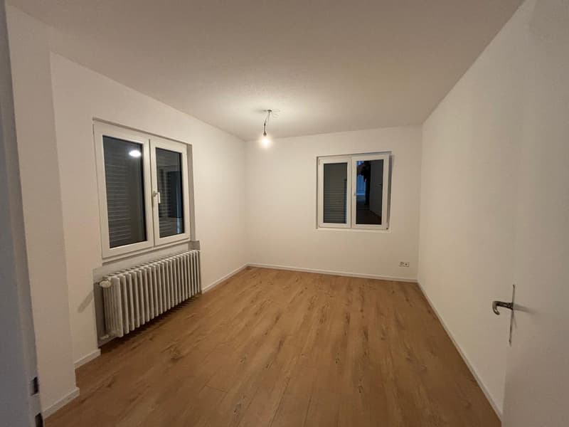 Appartamento 1 camera luminoso ad Aarwangen (1)