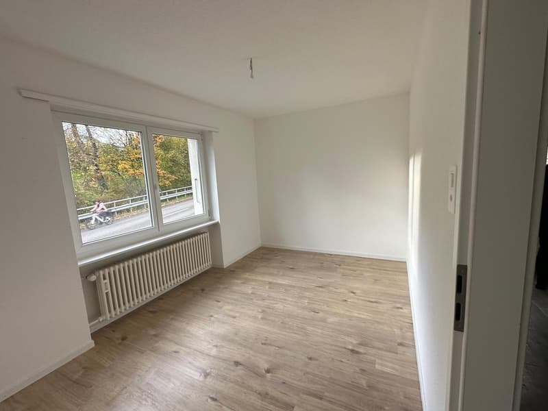 Appartamenti di 3 camere ristrutturati in una posizione attraente (3)