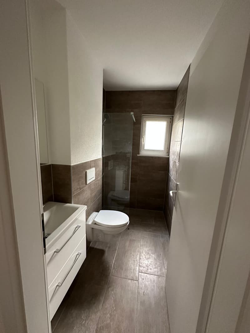 Appartamenti di 3 camere ristrutturati in una posizione attraente (5)