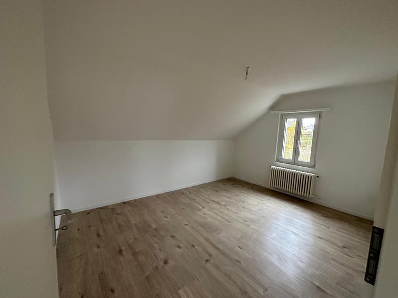Appartamenti di 3 camere ristrutturati in una posizione attraente (7)