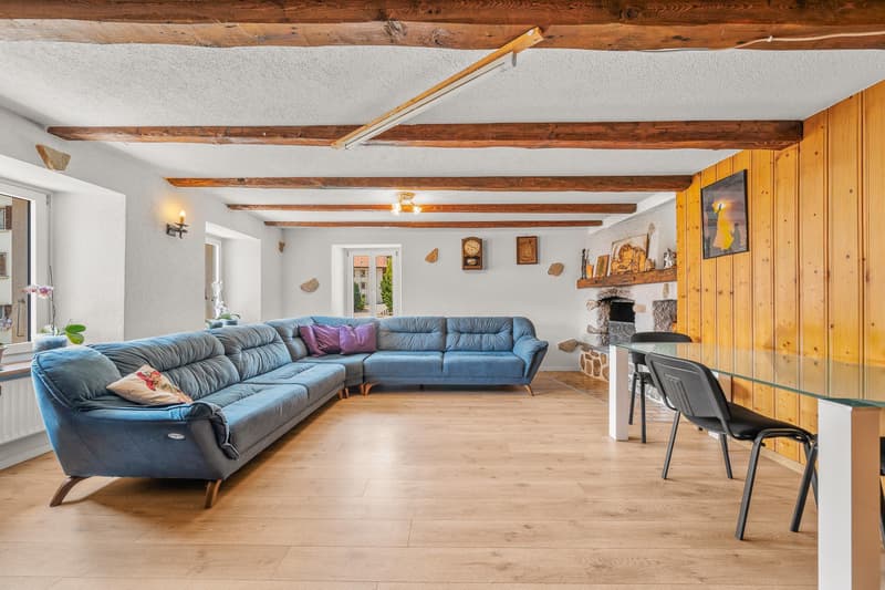 Village house with 3 apartments and garden as well as land potential (8)