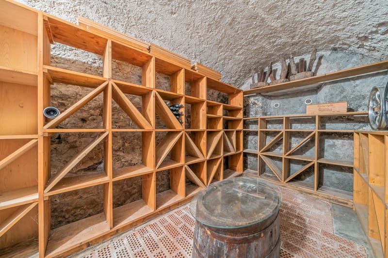 Village house with 3 apartments and garden as well as land potential (11)