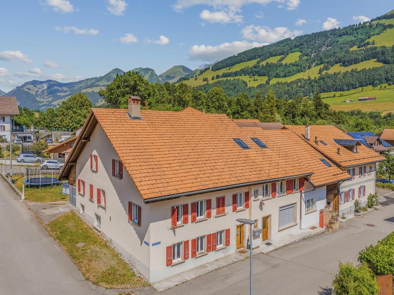 Village house with 3 apartments and garden as well as land potential (1)