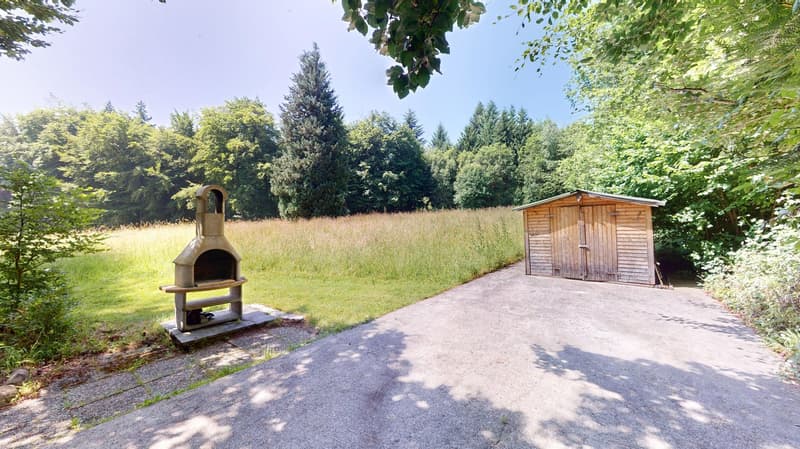 Concrete paved driveway, small BBQ oven, small wooden shed, large grassy field, and trees.