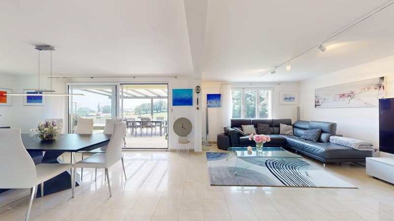 living room with large windows, balcony, dining table, leather sofa, rug, modern decor
