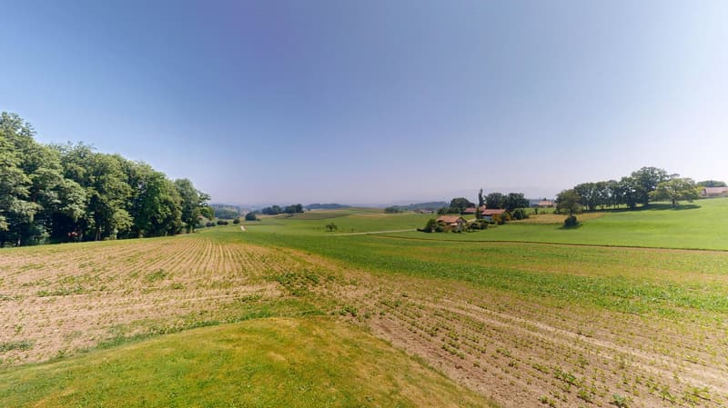 An aerial view of a green field, some trees on the left side, a house in the distance, the weather is clear