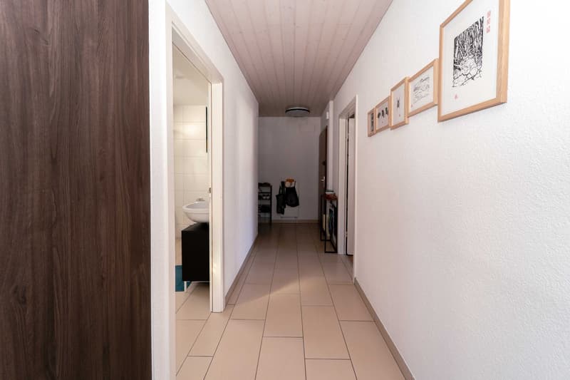 Rare volumes for a 2.5-room typology (4)