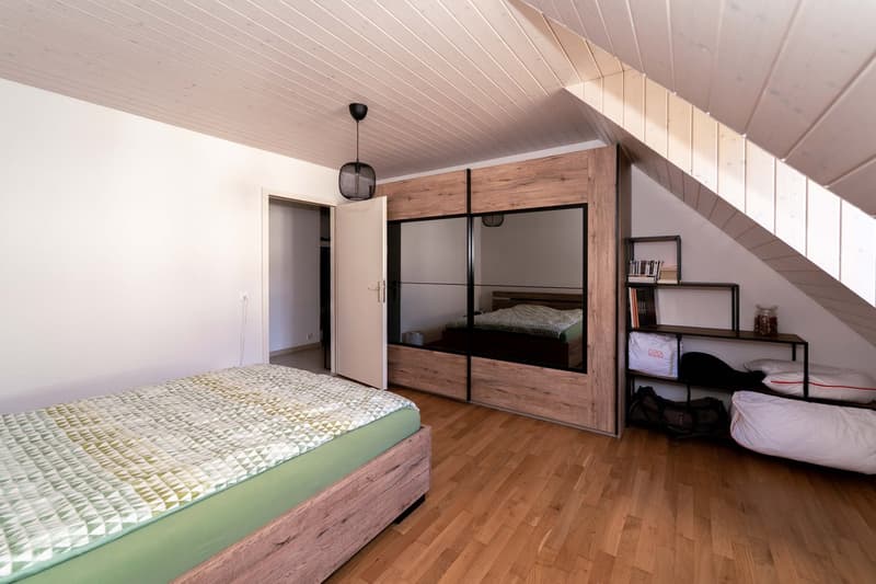 Rare volumes for a 2.5-room typology (6)
