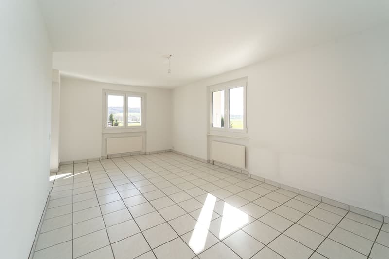 An ideal balance between functionality and a cleared living space (4)