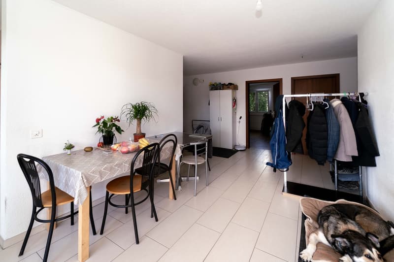 A family-friendly apartment with garden, open to the countryside (14)