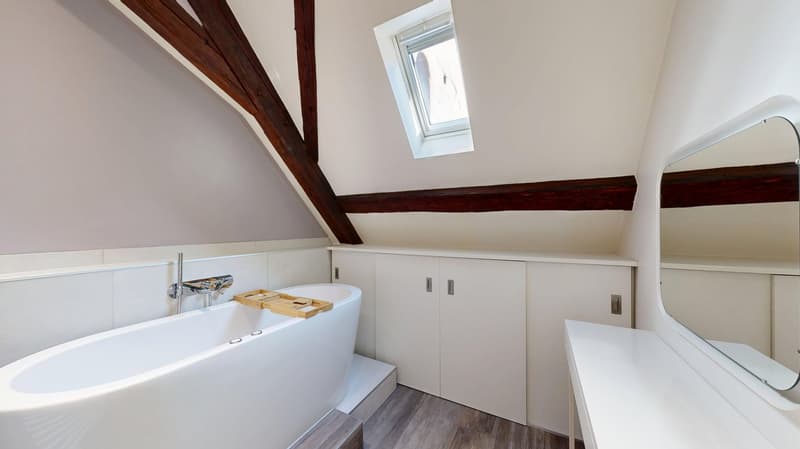 Majestic villa in the heart of Fribourg (23)