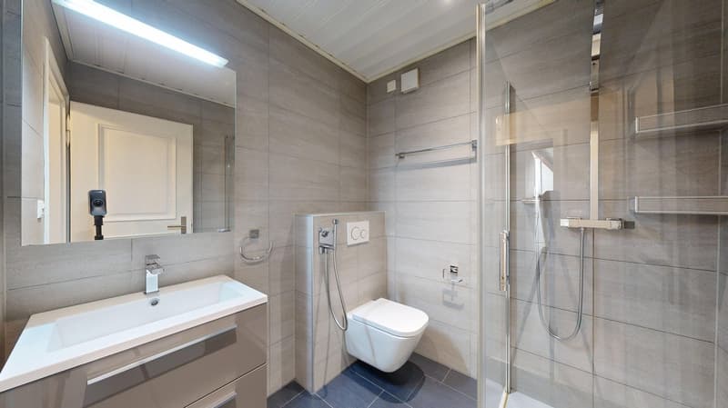 Majestic villa in the heart of Fribourg (22)