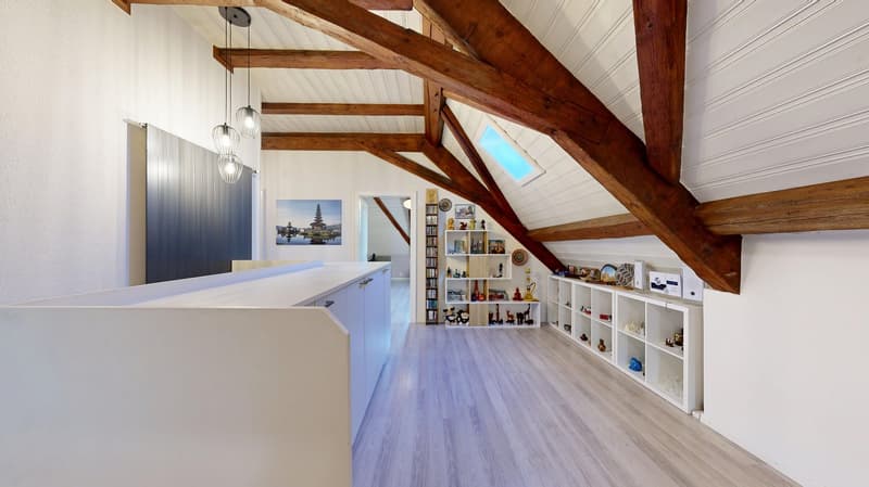 Majestic villa in the heart of Fribourg (19)