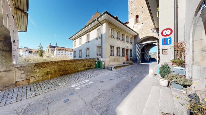 Majestic villa in the heart of Fribourg (7)