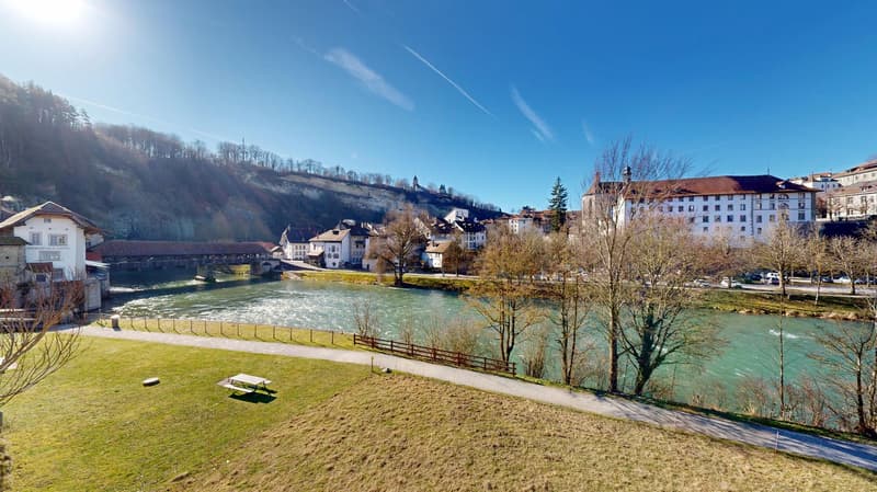 Majestic villa in the heart of Fribourg (4)