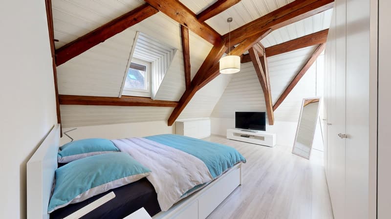 Majestic villa in the heart of Fribourg (20)